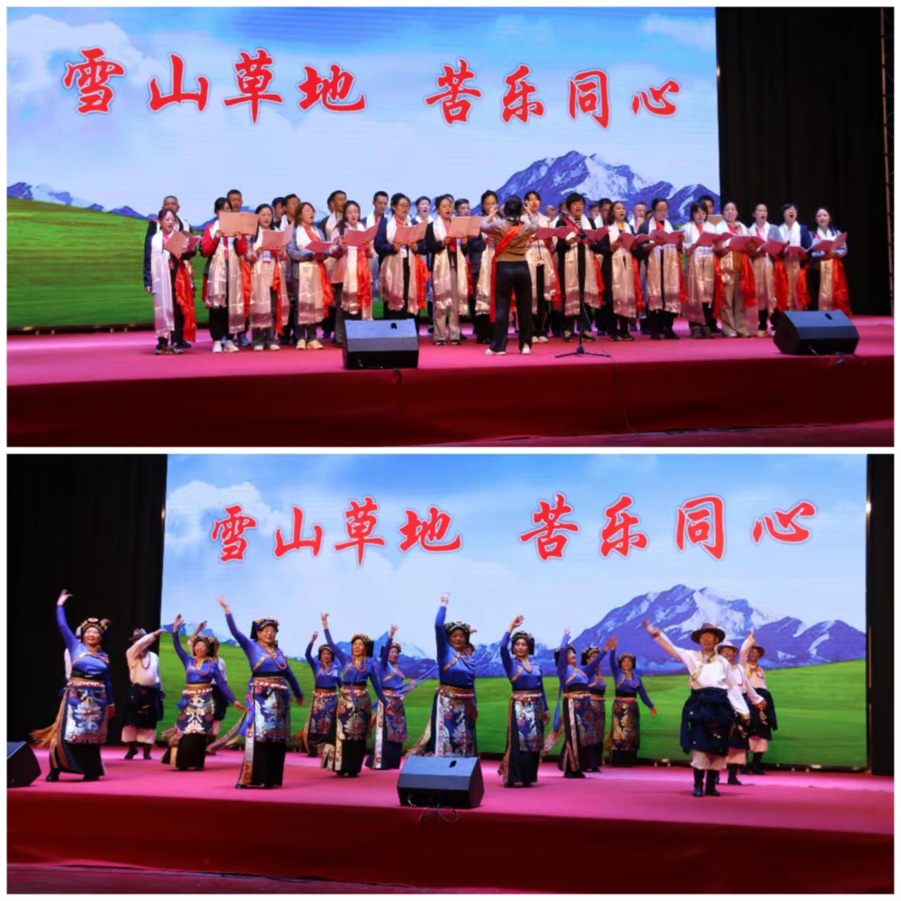 1720410364227.jpg 苦乐同心.jpg