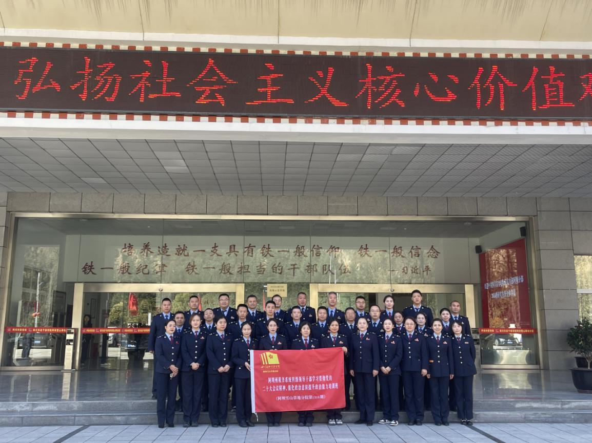 1729495765295.png 阿坝税务.png