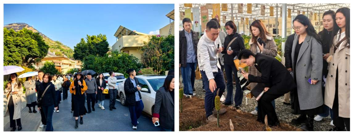 1764823861750.png 图片11、12.png